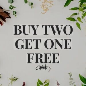Buy 2 get 1 free with discounted shipping